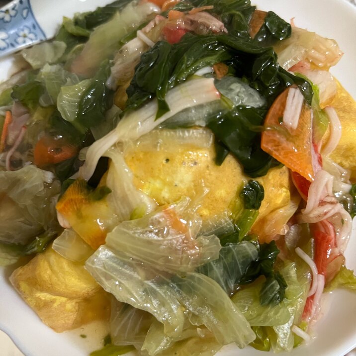 野菜たっぷりあんかけご飯